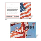 U.S. Flags 2022 Stamped Pins image