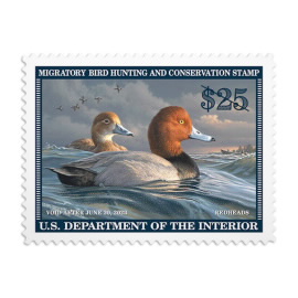 Estampilla Redhead Duck 2022-2023