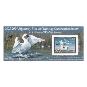 Plancha Conmemorativa Tundra Swans 2023-2024