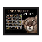 Imagen de Estampillas Enmarcadas Endangered Species - Florida Panther