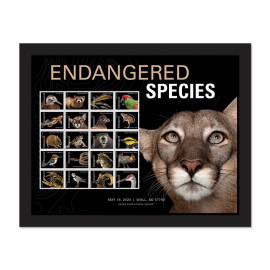 Estampillas Enmarcadas Endangered Species - Florida Panther