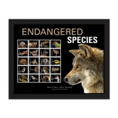 Imagen de Estampillas Enmarcadas Endangered Species - Mexican Gray Wolf