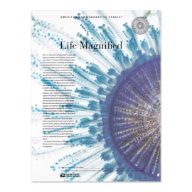 American Commemorative Panel® Life Magnified