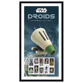 Estampillas Enmarcadas de D-O de Star Wars™ Droids