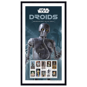 Estampillas Enmarcadas del androide 2-1B de Star Wars™ Droids