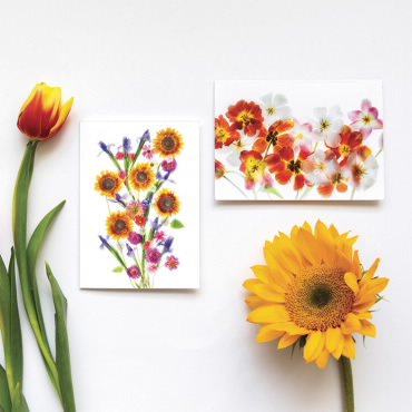 Tarjetas en Blanco Tulips and Sunflower