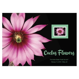 Impresión de Flor Grande Rosada de Cactus Flowers
