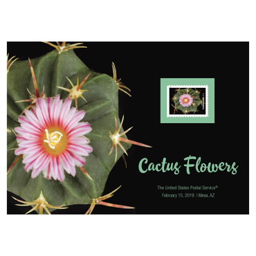Impresión de Flores Rosadas con Rojo Pequeñas de Cactus Flowers
