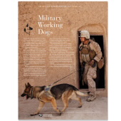 Imagen de la Hoja de Estampillas Conmemorativas Estadounidenses Military Working Dogs