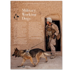 Hoja de Estampillas Conmemorativas Estadounidenses Military Working Dogs