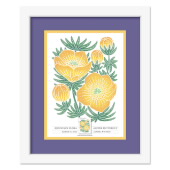 Mountain Flora Framed Stamps - Alpine Buttercup image