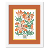 Imagen de las Estampillas Enmarcadas Mountain Flora - Wood Lily