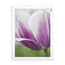 Estampillas Tulip Blossoms